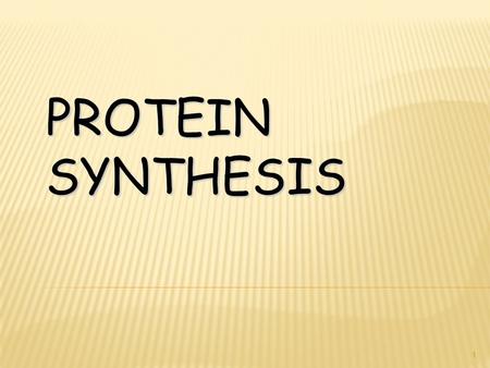 PROTEIN SYNTHESIS.