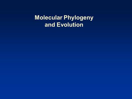 Molecular Phylogeny and Evolution.