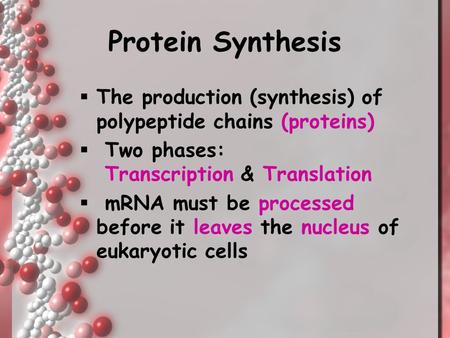 Protein Synthesis The production (synthesis) of polypeptide chains (proteins) Two phases: Transcription & Translation mRNA must be processed before it.