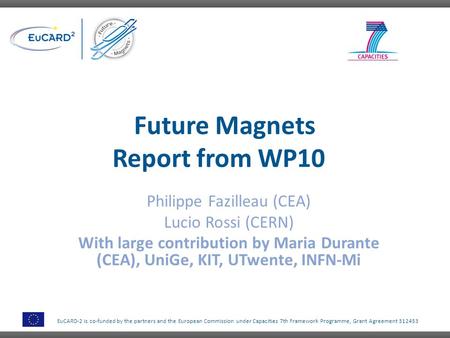 Future Magnets Report from WP10