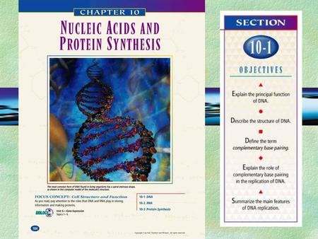 How Do We Know DNA is the Genetic Material? §Proteins were thought to carry genetic information §Fred Griffith 1928 §Experimented with pneumonia on.