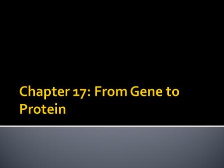 Chapter 17: From Gene to Protein