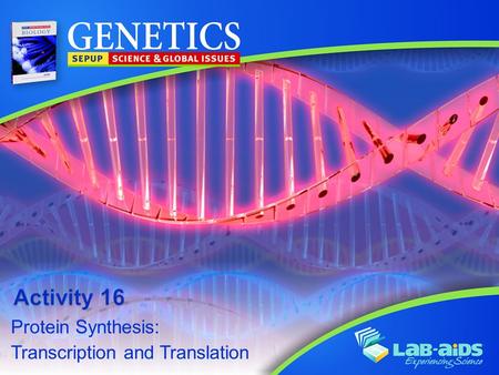 Protein Synthesis: Transcription and Translation