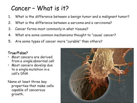 Cancer – What is it? 1.What is the difference between a benign tumor and a malignant tumor? 2.What is the difference between a sarcoma and a carcinoma?