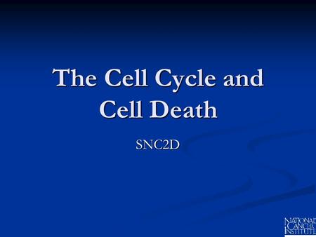 The Cell Cycle and Cell Death