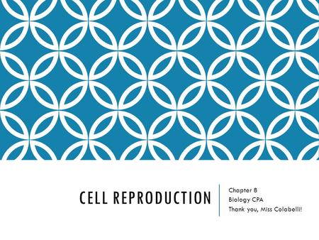 Chapter 8 Biology CPA Thank you, Miss Colabelli!