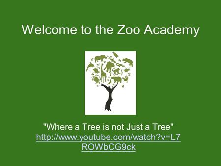 Welcome to the Zoo Academy Where a Tree is not Just a Tree  ROWbCG9ck.