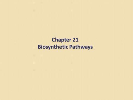 Chapter 21 Biosynthetic Pathways