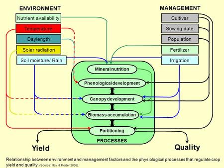 Nutrient availability Temperature Daylength Solar radiation Soil moisture/ RainIrrigation Fertilizer Population Sowing date Cultivar Mineral nutrition.