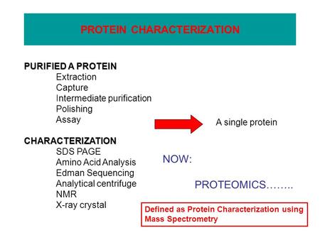 PROTEIN CHARACTERIZATION