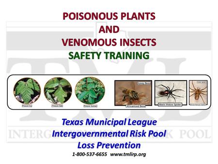 Texas Municipal League Intergovernmental Risk Pool Loss Prevention 1-800-537-6655 www.tmlirp.org.