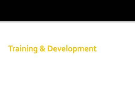 Training & Development