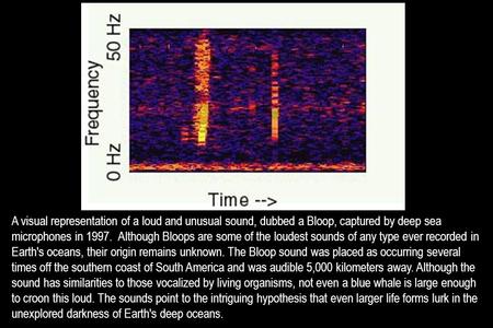 A visual representation of a loud and unusual sound, dubbed a Bloop, captured by deep sea microphones in 1997. Although Bloops are some of the loudest.