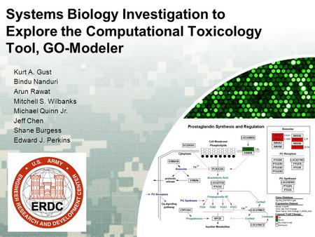 US Army Corps of Engineers BUILDING STRONG ® Systems Biology Investigation to Explore the Computational Toxicology Tool, GO-Modeler Kurt A. Gust Bindu.