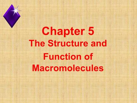 Chapter 5 The Structure and Function of Macromolecules.