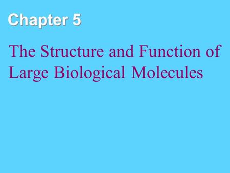 Chapter 5 The Structure and Function of Large Biological Molecules.