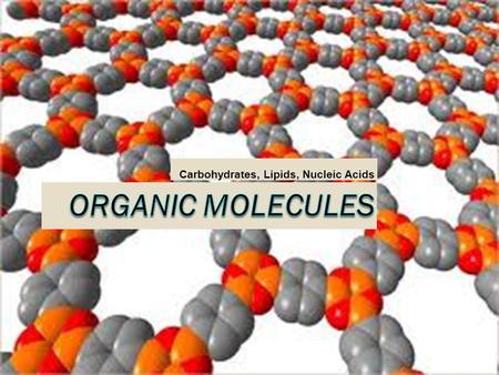 Carbohydrates, Lipids, Nucleic Acids. 3.2.1 Distinguish between organic and inorganic compounds  All organic molecules contain the element Carbon, but.