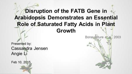 Disruption of the FATB Gene in Arabidopsis Demonstrates an Essential Role of Saturated Fatty Acids in Plant Growth Bonaventure et al., 2003 Presented by: