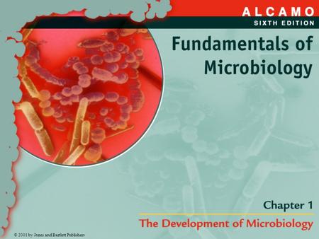 © 2001 by Jones and Bartlett Publishers. Early human interactions with microbes Early Plagues What did people THINK was causing disease?