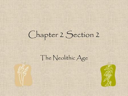 Chapter 2 Section 2 The Neolithic Age.