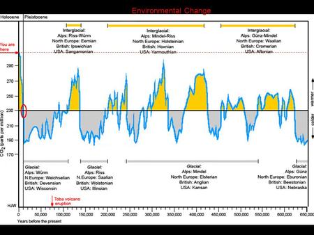 Environmental Change. Domestication Domestication = production of new species of plant and animals by human intervention and co-evolution –interference.