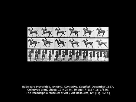 Eadweard Muybridge. Annie G, Cantering, Saddled. December 1887