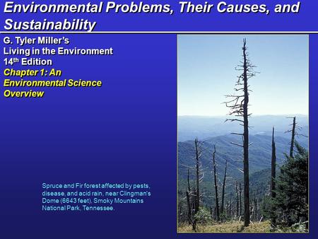 Environmental Problems, Their Causes, and Sustainability