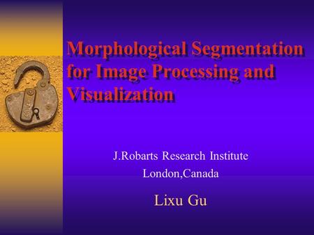 Morphological Segmentation for Image Processing and Visualization J.Robarts Research Institute London,Canada Lixu Gu.