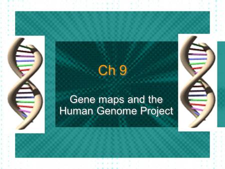 Ch 9 Gene maps and the Human Genome Project. Manipulating DNA Scientists use enzymes that act as molecular “scissors” to splice DNA. These enzymes (restriction.