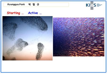 Hyunggyu Park 박 형 규 Starting … Active …. Hyunggyu Park 박 형 규 Starting … Active …