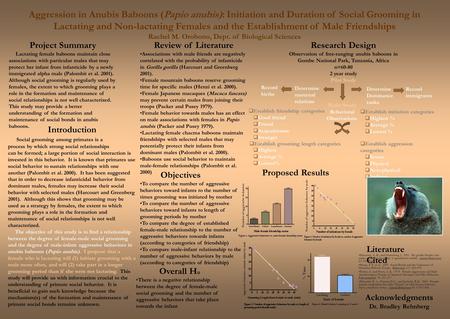 Aggression in Anubis Baboons (Papio anubis): Initiation and Duration of Social Grooming in Lactating and Non-lactating Females and the Establishment of.