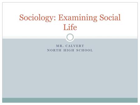 Sociology: Examining Social Life