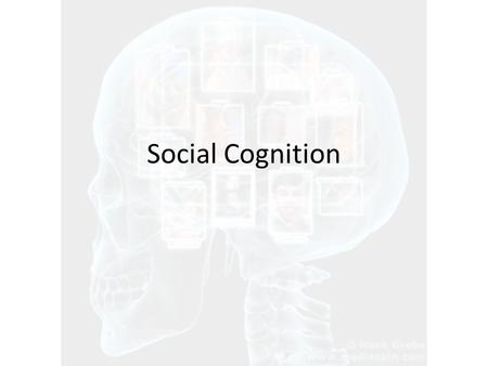 Social Cognition.