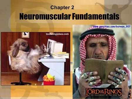 Neuromuscular Fundamentals