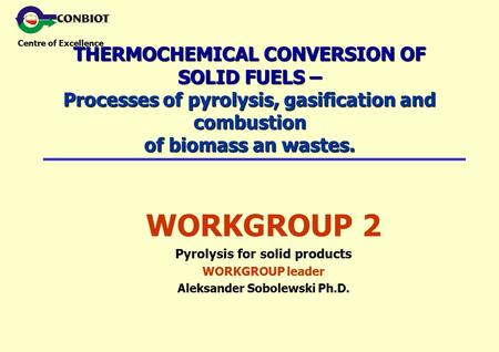 Centre of Excellence THERMOCHEMICAL CONVERSION OF SOLID FUELS – Processes of pyrolysis, gasification and combustion of biomass an wastes. WORKGROUP 2 Pyrolysis.