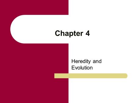 Chapter 4 Heredity and Evolution. Hybrids Offspring of mixed ancestry; heterozygotes. Principle of segregation Genes (alleles) occur in pairs (because.