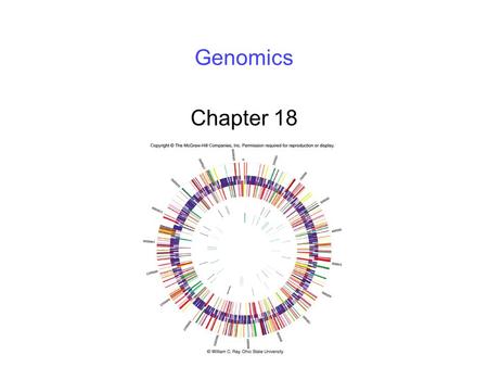 Genomics Chapter 18.