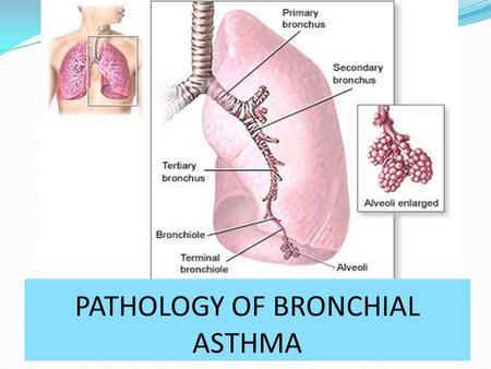 PATHOLOGY OF BRONCHIAL ASTHMA