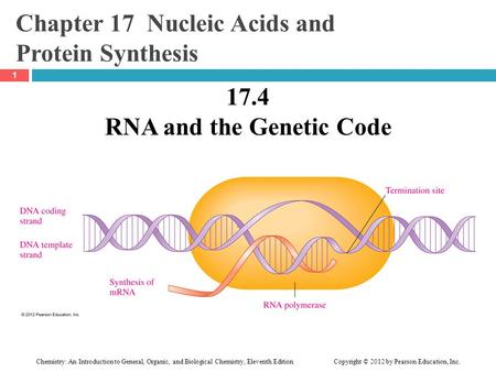 Chemistry: An Introduction to General, Organic, and Biological Chemistry, Eleventh Edition Copyright © 2012 by Pearson Education, Inc. Chapter 17 Nucleic.