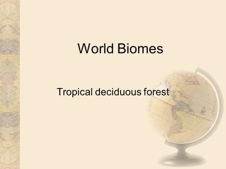 Tropical deciduous forest