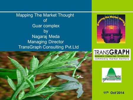 1 24 th Nov, 2013 Guar Scenario Mapping The Market Thought of Guar complex by Nagaraj Meda Managing Director TransGraph Consulting Pvt.Ltd 11 th Oct’2014.