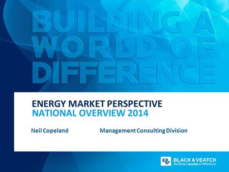 ENERGY MARKET PERSPECTIVE