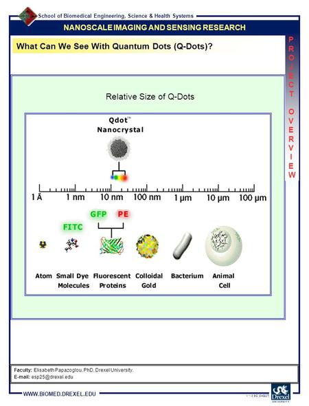 School of Biomedical Engineering, Science & Health Systems WWW.BIOMED.DREXEL.EDU V 1.0 SD [040227] NANOSCALE IMAGING AND SENSING RESEARCH What Can We See.