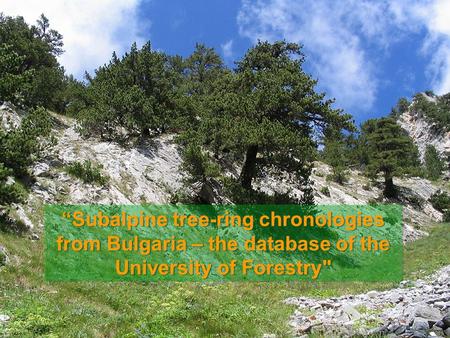 “Subalpine tree-ring chronologies from Bulgaria – the database of the University of Forestry