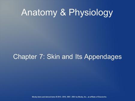 Chapter 7: Skin and Its Appendages