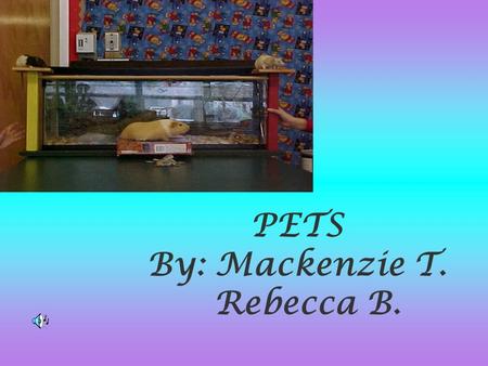 PETS By: Mackenzie T. Rebecca B.. Sit back, Relax, and Enjoy the Show.