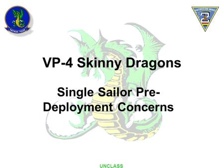 VP-4 Skinny Dragons Single Sailor Pre- Deployment Concerns UNCLASS.