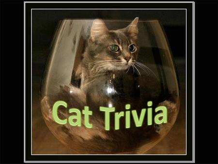 Cats purr at about 26 cycles per second, the same frequency as an idling diesel engine.