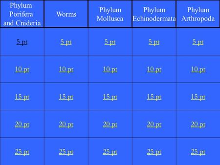 1 10 pt 15 pt 20 pt 25 pt 5 pt 10 pt 15 pt 20 pt 25 pt 5 pt 10 pt 15 pt 20 pt 25 pt 5 pt 10 pt 15 pt 20 pt 25 pt 5 pt 10 pt 15 pt 20 pt 25 pt 5 pt Phylum.