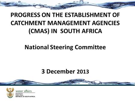 PROGRESS ON THE ESTABLISHMENT OF CATCHMENT MANAGEMENT AGENCIES (CMAS) IN SOUTH AFRICA National Steering Committee 3 December 2013.